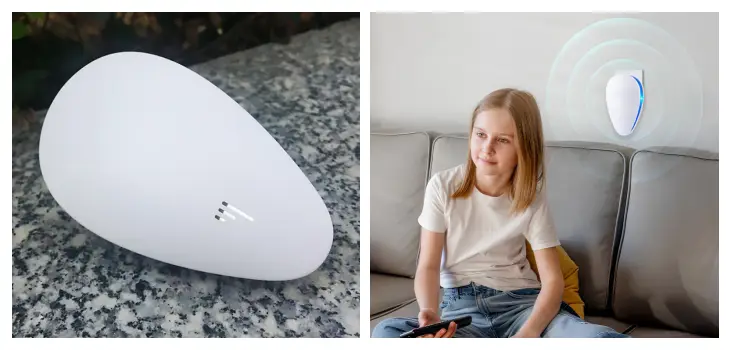 Warum Repellio Sprays, Fallen und Kammerjäger schlägt